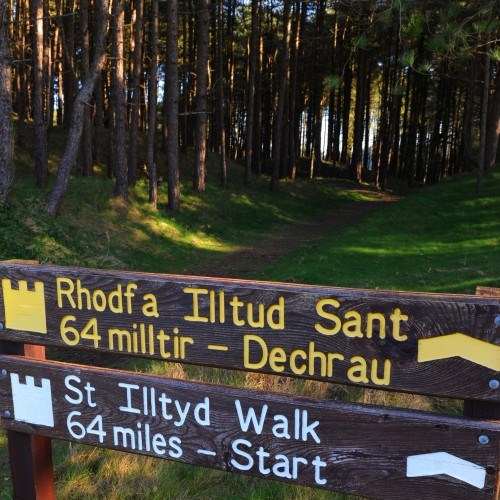 Pembrey Country Park