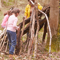 Woodland Explorers Club - Various dates