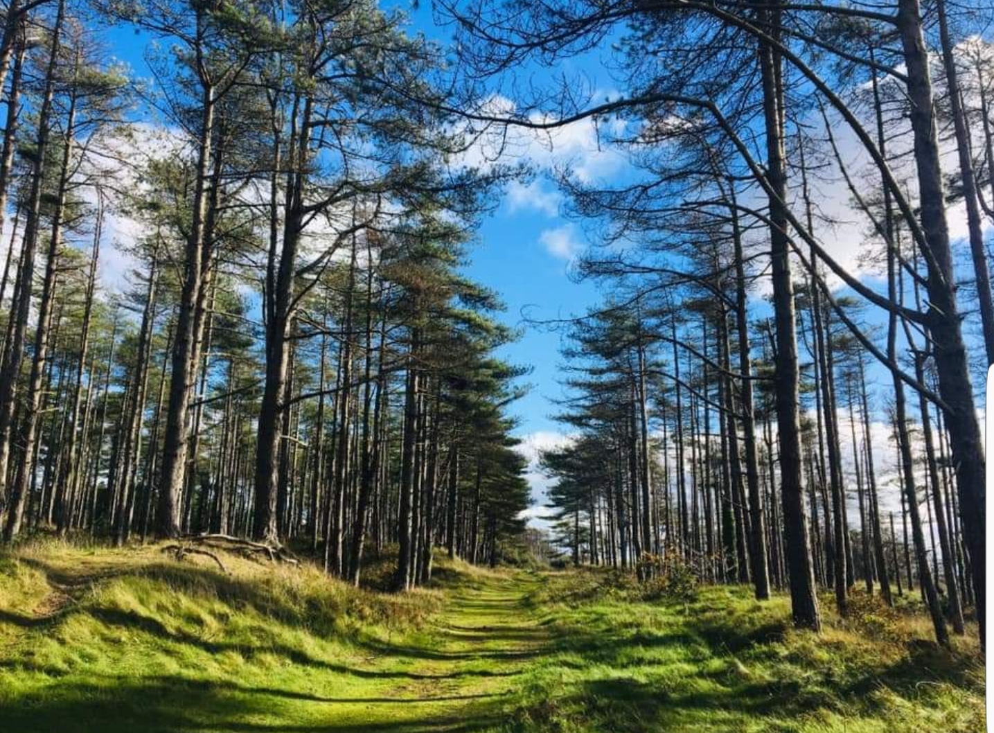 Walks & Trails